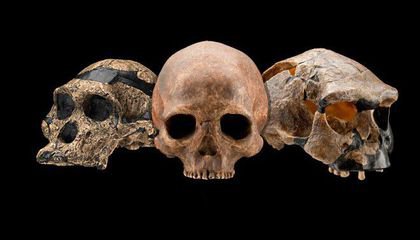 These are the Decade’s Biggest Discoveries in Human Evolution