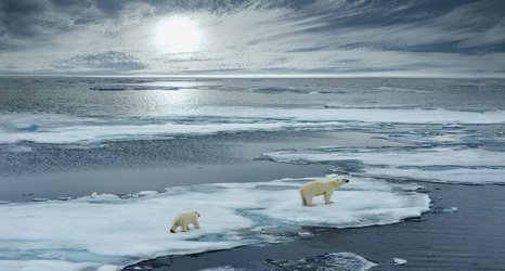 How will coronavirus shape our response to climate change?