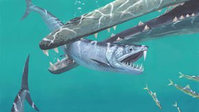 Saber-toothed anchovies roamed the oceans 45 million years ago