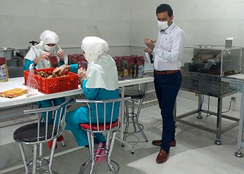 در راستای پیشگیری و کنترل بیماری کرونا؛
واحدهای تولیدی مواد غذایی شهرستان جم به صورت مستمر پایش می‌شوند