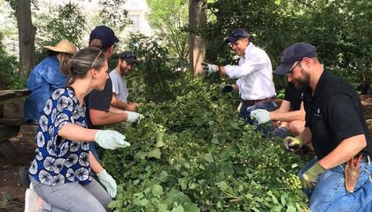 This Beer Recipe Came From Hops Grown at the Smithsonian