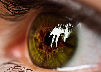 متخصص چشم بیمارستان امام خمینی (ره) کنگان:
شستشوی چشم با آب اولین قدم در آسیب‌های ناشی از ترکیبات شیمیایی است

