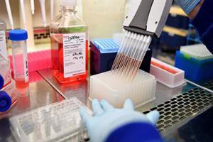 خبر مهم| ۵ شرکت به حوزه ساخت واکسن کووید۱۹ ورود کرد