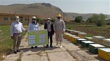 جلسه با عنوان چالش های پرورش زنبور عسل در حوزه عمل مرکز جهاد کشاورزی بیرانشهر برگزار گردید