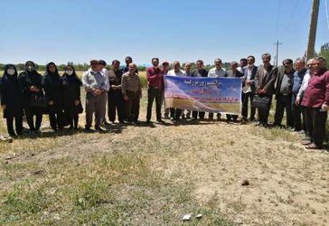 برگزاری روز مزرعه غلات در ایستگاه تحقیقاتی کشاورزی میاندواب آذربایجان غربی