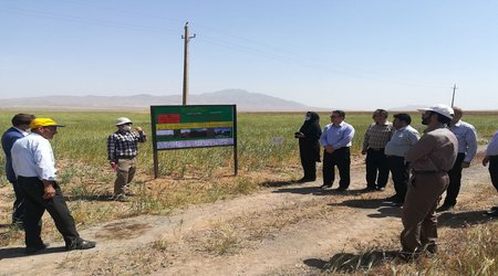 بازدید کارشناس معین بخش فنی و مهندسی کشاورزی استان مرکزی از سایت الگویی ارتقاء امنیت غذایی شهرستان آشتیان