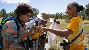 ‘I can't even enjoy this.’ #BlackBirdersWeek organizer shares her struggles as a black scientist