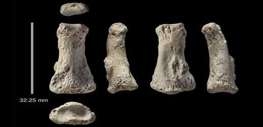 Ancient finger bone may reveal humanity’s path out of Africa