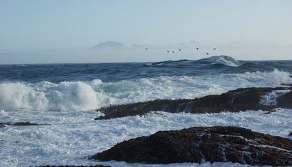 This Climate Detective Reconstructs What the Ocean Was Like Millions of Years Ago