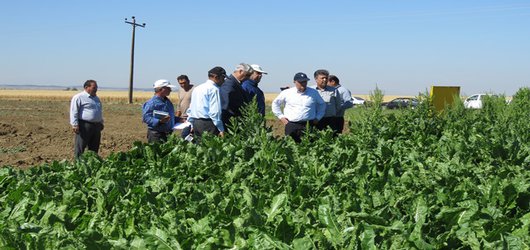 بازدید رئیس موسسه تحقیقات اصلاح و تهیه بذر چغندرقند از مرکز تحقیقات و آموزش کشاورزی و منابع طبیعی استان اردبیل