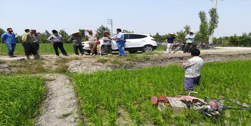 کارگاه آموزشی ترویجی وجین مکانیزه برنج در شرایط شیوع ویروس کرونا با حضور مدرس مرکز هراز در شهرستان ساری برگزار شد