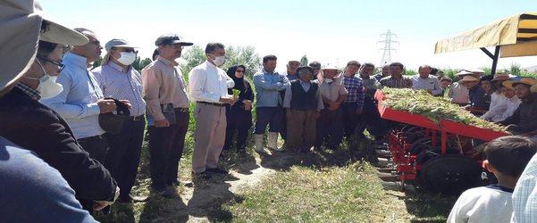 حضور اعضای هیات علمی بخش تحقیقات فنی و مهندسی کشاورزی آذربایجان غربی در برنامه کشت نشائی چغندرقند