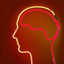 High doses of ketamine can temporarily switch off the brain, say researchers