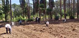 دوره آموزش سنجش مهارت کشاورزی رشته تحصیلی، گیاهان دارویی، زراعت غلات و حبوبات در حال برگزاریست