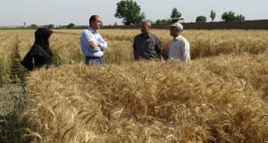 بازدید دکتر فرجی از روند برنامه های پژوهشی ایستگاه تحقیقات عراقی محله گرگان