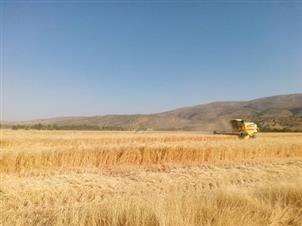 آفتاب گرم و سوزان علی آباد کمین نتوانست دستان پرتوان دلاوران عرصه تلاش و تولید را از کار بیندازد