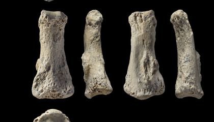 Rare 85,000-year-old Finger Bone Complicates Our Understanding of African Migration