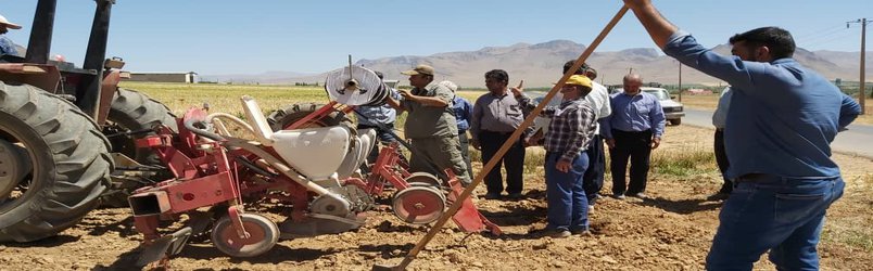 کشت ردیفی لوبیا با استفاده از ردیف کار پنوماتیک برای اولین بار در استان مرکزی  در منطقه زالیان استان مرکزی