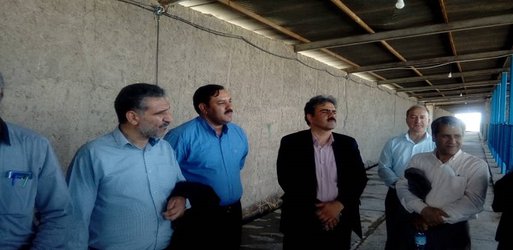 دکترکامبیز بازرگان ، معاون وزیر و رییس سازمان تحقیقات،آموزش و ترویج کشاورزی وهیات همراه به استان یزد سفر نمودند