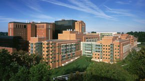 ‘Has it peaked? I don’t know.’ NIH official details foreign influence probe