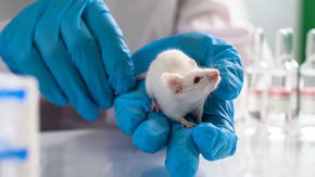Is it time to replace one of the cornerstones of animal research?