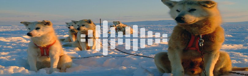 Podcast: Stopping the spread of COVID-19, and arctic adaptations in sled dogs