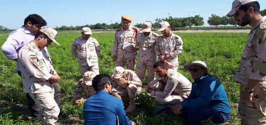 برگزاری دوره آموزشی مهارت آموزی سربازان وظیفه توسط محقق مرکز تحقیقات و آموزش کشاورزی و منابع طبیعی استان اردبیل