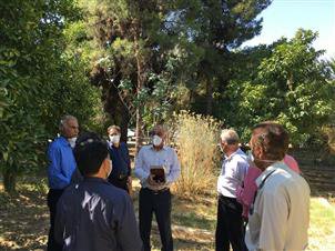 با امکانات فعلی هم می توان فضای سبز را شاداب تر نمود.