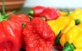 This guy ate a pepper so hot doctors thought he might be having an aneurysm