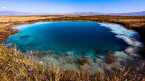 Pools in the Mexican desert are a window into Earth’s early life