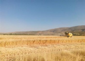 تقدیر رئیس موسسه تحقیقات اصلاح و تهیه نهال و بذر  از رئیس بخش تحقیقات زراعی باغی مرکز فارس