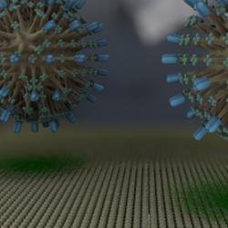 Cell ‘membrane on a chip’ could speed up screening of drug candidates for COVID-19