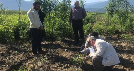 گزارش اقدامات و برنامه های واحد ثبت مرکز تحقیقات و آموزش گلستان در حوزه نهال