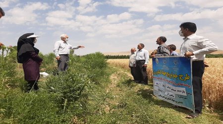 حضور محقق بخش تحقیقات فنی و مهندسی کشاورزی آذربایجان غربی در سایت‌های طرح تحولی ترویج برای احیای دریاچه ارومیه