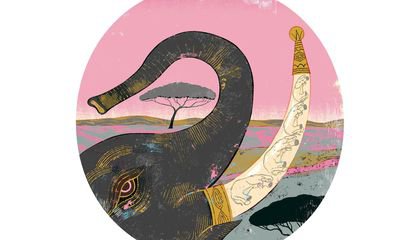 Why Is Ivory So Precious? And More Questions From Our Readers