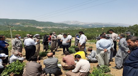 حضور محقق بخش تحقیقات فنی و مهندسی کشاورزی آذربایجان غربی در مراسم روز مزرعه انگور