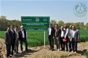 بازدید  دکتر هانس براون رییس  برنامه جهانی گندم مرکز تحقیقات بین المللی ذرت و گندم (cimmyt) ازموسسه تحقیقات اصلاح و تهیه نهال و بذر