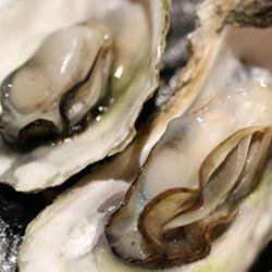Scientists supercharge shellfish to tackle vitamin deficiency in humans