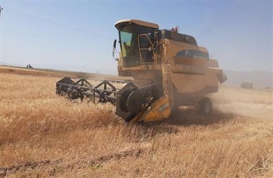 رییس ایستگاه تحقیقات کشاورزی و منابع طبیعی اقلید از آغاز برداشت غلات از مزارع بذری ارقام جدید گندم  خبر داد