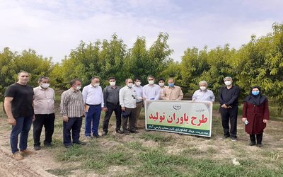 بازدید یاوران تولید از مزارع  و باغات مرکز خدمات کشاورزی ساوالان شهرستان پارس آباد مغان استان اردبیل