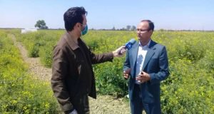 دریافت امتیاز و تقدیر دکتر پیغام زاده پژوهشگر بخش تحقیقات زراعی و باغی مرکز تحقیقات و آموزش گلستان از سوی رئیس موسسه تحقیقات اصلاح بذر کشور