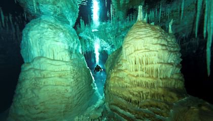 Exploring Underwater Caves and 22 Other Smithsonian Programs Streaming in August