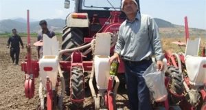 گزارش اثربخشی طرح یاوران تولید مرکز تحقیقات و آموزش گلستان در موضوع تراکم مطلوب ذرت در منطقه با عنایت به کمبود آب