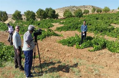 تولید محتوی فیلم آموزشی- ترویجی اصول مدیریت تاکستان دیم در استان فارس