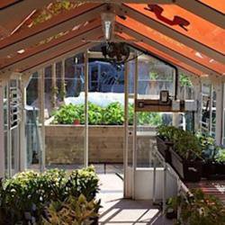 Green energy and better crops: tinted solar panels could boost farm incomes