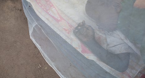 Mosquito net distribution could halve Malaria deaths in Africa during COVID-19