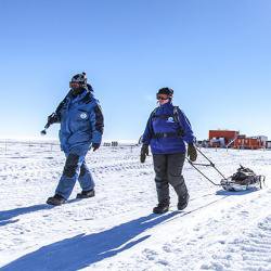 Carbon dioxide ‘pulses’ are a common feature of the carbon cycle