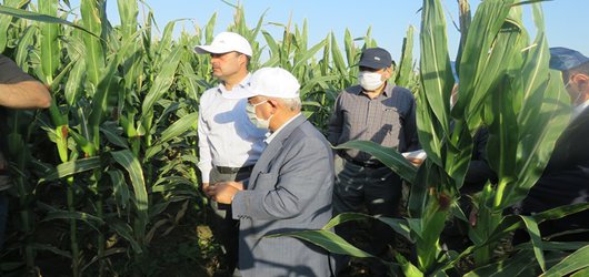 مهندس کشاورز قائم مقام وزیر جهاد کشاورزی در امور پروژه‌های زیربنایی آب و خاک کشور و هیئت همراه از ظرفیت‌ها و پتانسیل‌های کشاورزی منطقه مغان بازدید کردند