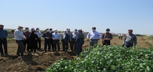 مهندس کشاورز قائم مقام وزیر جهاد کشاورزی در امور پروژه‌های زیربنایی آب و خاک کشور و هیئت همراه از ظرفیت‌ها و پتانسیل‌های کشاورزی منطقه مغان بازدید کردند