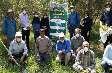 برگزاری کارگاه آموزشی مدیریت بیماری لکه سیاه سیب